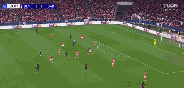加维.gif